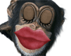 Kissing Monkey