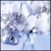 God's Love -- Get Well Greeting Cards For Anyone project from Yahoo! Greetings