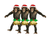 Jingle Jingle!