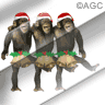 Jingle Jingle!