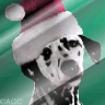 Singing Dogs