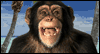 You Look Like a Monkey -- April Fools Day eCard from Blue Mountain
