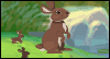 Easter Garden (Interactive Click-Thru)