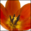 You Make a Difference -- Administrative Professionals Day Greeting Cards project from Yahoo! Greetings