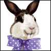 Big Smile -- Twisted Whiskers Easter Greeting Cards project from Yahoo! Greetings