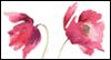 Special Daughter-in-law  -- Daughter Mothers Day eCard from MSN Greetings