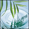 In Memory of Father -- Loss of Family Member Sympathy Greeting Cards project from Yahoo! Greetings