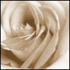 Sincere Thanks to You -- Thank You Greeting Card project from Yahoo! Greetings
