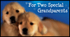 Love for Grandparents