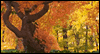 Thinking of You Autumn eCards