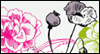 To a Beautiful Friend  -- Bloom Friend Birthday eCard from MSN Greetings
