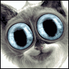 Youre Purr-fect  -- Printable Top Collections eCard from American Greetings