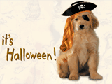 Pirate Puppy halloween ecards