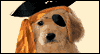 Pirate Puppy