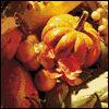 From All of Us to You  -- Printable Everyday Thanksgiving Greeting Cards eCard from American Greetings