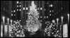 It's a Wonderful Life  -- Bloom Happy Holidays eCard from American Greetings