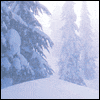 This Wondrous Season -- Everyday Season's Greetings Greeting Cards project from Yahoo! Greetings