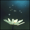 Wishing You Restful Days -- Get Well Greeting Cards For Anyone project from Yahoo! Greetings