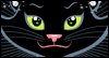 Personalized Kitty  -- Pets Halloween eCard from American Greetings