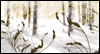 Life Is Good Winter eCards
