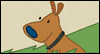 How Dogs Celebrate Birthdays  -- Pets Birthday eCard from American Greetings