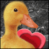 Thomething Thweet for You -- Kids Valentines Day Greeting Cards project from Yahoo! Greetings