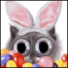 Did You Say  -- Twisted Whiskers Easter Greeting Cards project from Yahoo! Greetings