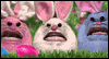 We Are Easter Bunnies (Fun Song) -- Funny Easter eCard from Yahoo! Greetings