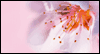 She Touches Your Heart  -- Daughter Mothers Day eCard from MSN Greetings