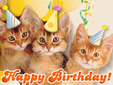 Singing Birthday Cats pets ecard