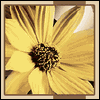 Loving Thoughts for You -- Fathers Day Greeting Cards to Husband project from Yahoo! Greetings