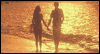 Sharing Life with You 