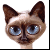 We're So Alike -- Funny Birthday Greeting Cards For Women project from Yahoo! Greetings