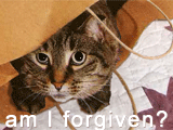 Am I Forgiven? i'm sorry ecards