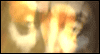 Send A Seance -- Halloween eCard from Yahoo! Greetings