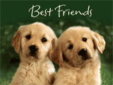 A Friend Like You sweetest day ecards