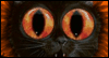 Scaredy Cat  -- Halloween eCard from American Greetings