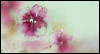 A Simple Hello  -- Love eCard from American Greetings