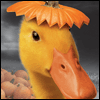 Thmiling Pumpkins -- Everyday Halloween Greeting Cards project from Yahoo! Greetings