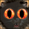 Don't Be a Scaredy-cat  -- Printable Everyday Halloween Greeting Cards eCard from American Greetings