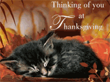 Beauty Of Autumn thanksgiving ecards
