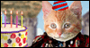 Medieval Birthday Wish  -- Pets Birthday eCard from American Greetings