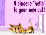 Congrats On Your New Cat congratulations ecards