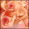 Timeless Love -- Everyday Valentines Day Greeting Cards project from Yahoo! Greetings