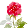 Husband and Soul Mate -- Everyday Valentines Day Greeting Cards project from Yahoo! Greetings