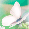 Sympathy for Mothers Loss -- Loss of Family Member Sympathy Greeting Cards project from Yahoo! Greetings