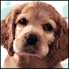 Better Than Yesterday -- Get Well Greeting Cards For Anyone project from Yahoo! Greetings