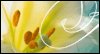 3/20 Spring Equinox Greeting March eCards