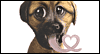 I Love You  -- Valentines Day Love eCard from American Greetings