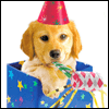 Were Gonna Party! -- Kids Birthday Greeting Cards project from Yahoo! Greetings